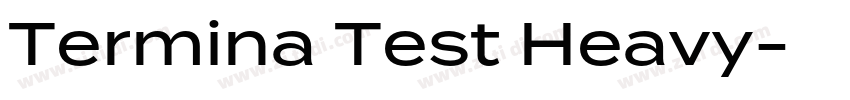 Termina Test Heavy字体转换